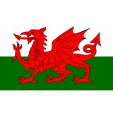 FL-010 Flag Welsh 1.5x0.9m